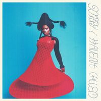 Vagabon - Sorry I Haven't Called vinyl cover