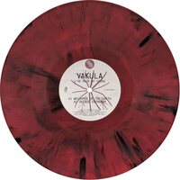 Vakula - U're Made Of Sound vinyl cover