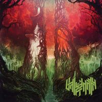 Vale Of Pnath - Ii Random Colored vinyl cover