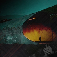 Valgeir Sigurdsson - Dissonance vinyl cover