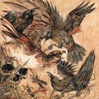 Valkyrie - Shadows vinyl cover