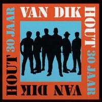 Van Dik Hout - 30 Jaar  vinyl cover