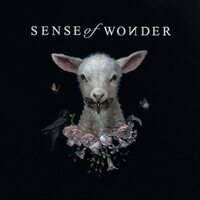 Van Morrison - Sense of Wonder vinyl cover