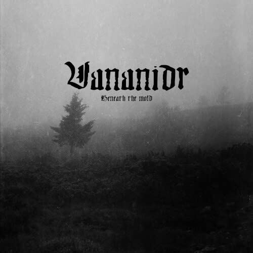 Vananidr - Beneath The Mold (Black & Grey Splatter) vinyl cover