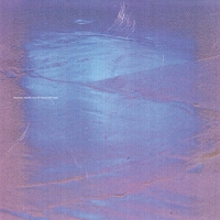 Vanessa Amara - You're Welcome Here vinyl cover