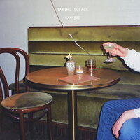 Vansire - Taking Solace vinyl cover