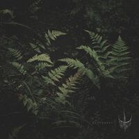 Varhara - Pustotsvet vinyl cover