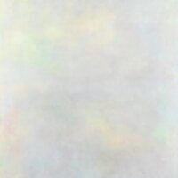 Variant - The Setting Sun vinyl cover