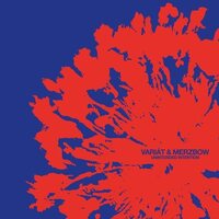 Variat & Merzbow - Unintended Intention vinyl cover