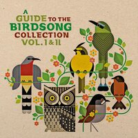 Various Artists - A Guide to the Birdsong Collection: Vol I & II vinyl cover