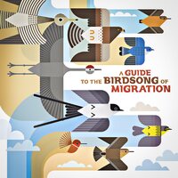 Various Artists - A Guide to the Birdsong of Migration vinyl cover