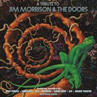Various Artists - A Tribute To Jim Morrison & The Doors / Various vinyl cover