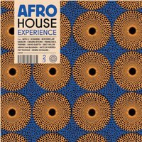 Various Artists - Afro House Experience vinyl cover