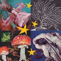 Various Artists - All Things Considered Vol.2 vinyl cover