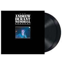 Various Artists - Andrew Durant Memorial Concert vinyl cover