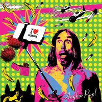 Various Artists - Angkor Pop! / Various vinyl cover