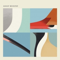 Various Artists - Avocet Revisited vinyl cover