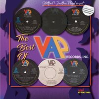 Various Artists - Best Of Vap Records vinyl cover