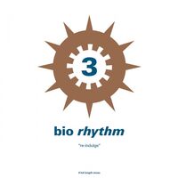 Various Artists - Bio Rhythm 3: Re-Indulge vinyl cover