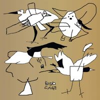 Various Artists - Bird Cage: Birdfriend Archives vinyl cover