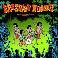 Various Artists - Brazilian Nuggets Vol. 4 vinyl cover