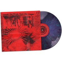 Various Artists - Break the Glass, Burn the Cage (Sound Of Indie Punk) vinyl cover
