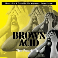 Various Artists - Brown Acid: Fourth Trip vinyl cover