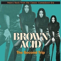 Various Artists - Brown Acid: Second Trip vinyl cover