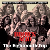 Various Artists - Brown Acid - The Eighteenth Trip vinyl cover