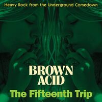 Various Artists - Brown Acid - The Fifteenth Trip vinyl cover