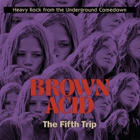 Various Artists - Brown Acid - The Fifth Trip vinyl cover