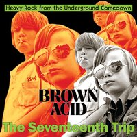 Various Artists - Brown Acid (The Seventeenth Trip) vinyl cover