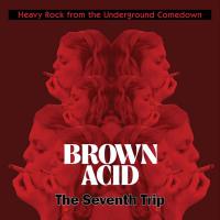 Various Artists - Brown Acid - The Seventh Trip / Various vinyl cover