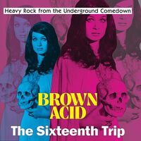 Various Artists - Brown Acid - The Sixteenth Trip vinyl cover