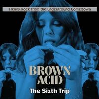 Various Artists - Brown Acid - The Sixth Trip vinyl cover