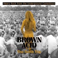 Various Artists - Brown Acid - The Tenth Trip vinyl cover