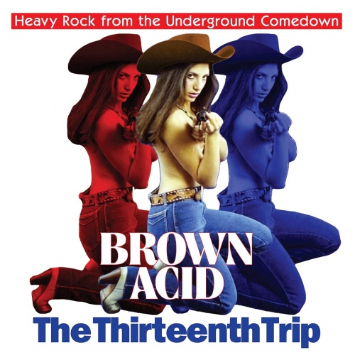 Various Artists - Brown Acid - The Thirteenth Trip