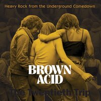 Various Artists - Brown Acid - The Twentieth Trip vinyl cover