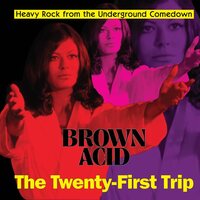 Various Artists - Brown Acid (The Twenty-First Trip) vinyl cover
