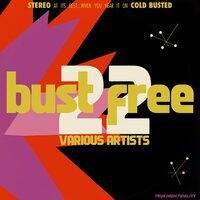 Various Artists - Bust Free 22 vinyl cover