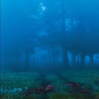 Various Artists - Commune vinyl cover