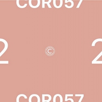 Various Artists - Compilation 05 Sampler 2 vinyl cover