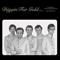 Various Artists - Diggin' For Gold Vol. 11 vinyl cover