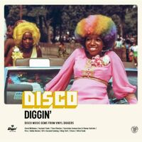 Various Artists - Disco Diggin