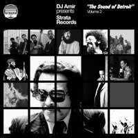 Various Artists - DJ Amir presents Strata Records - The Sound Of Detroit Vol. 2 vinyl cover