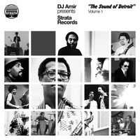 Various Artists - Dj Amir Presents 'Strata Records-The Sound Of Detroit' Volume 1