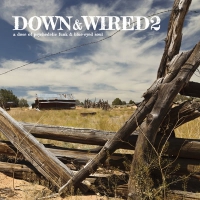 Various Artists - Down & Wired 2 vinyl cover