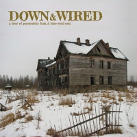 Various Artists - Down & Wired vinyl cover