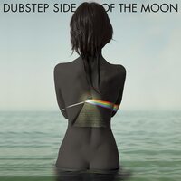 Various Artists - Dubstep Side Of The Moon vinyl cover