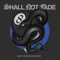 Various Artists - Eight Years In The Dance vinyl cover